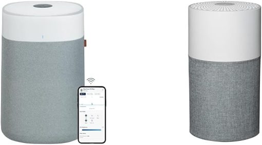 BLUEAIR Air Purifier for Large Home, Bedroom, and Small Rooms - HEPASilent Cleaner for Pets, Allergies, Dust, and Viruses