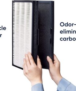 BLUEAIR Pro M, L, XL Genuine Replacement Particle Filter 2