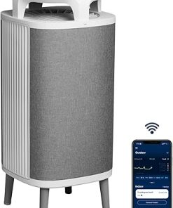 BLUEAIR Air Purifier Large Room, Table Top Air Cleaner for Dust Pet Dander Smoke Mold Pollen Bacteria Virus Allergen, Odor Removal, Home Bedroom Living Room, Alexa, Auto, HEPASilent, DustMagnet 5440i